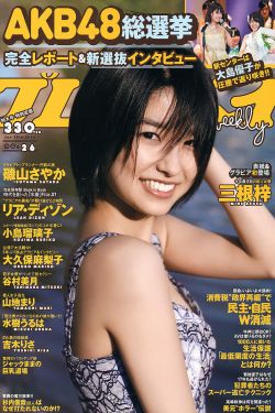 登泰山记