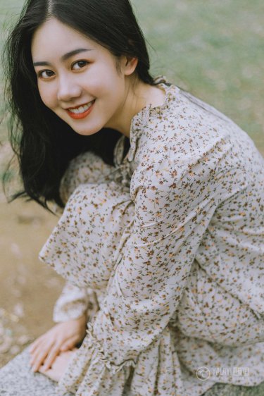 挖掘机视频