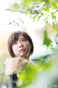 鞭打芦花