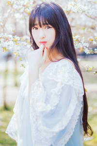 南方有乔木电视剧免费观看全集