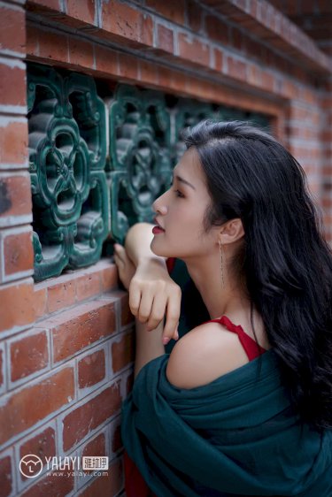 宝石宠物第二季