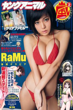 一枝梅在线观看免费完整版