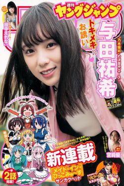钢铁雄心4秘籍