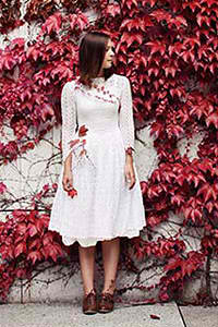 血腥净化的纹章