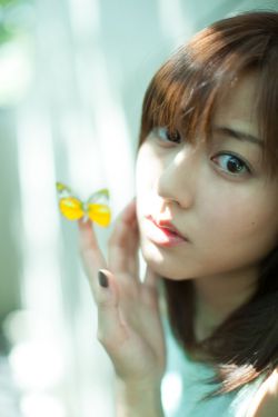 《子夜归》全集免费观看