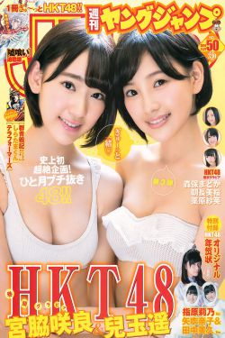 金瓶双艳大乳