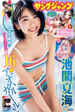 珠帘玉幕演员表